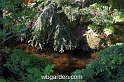 wbgarden spring 11